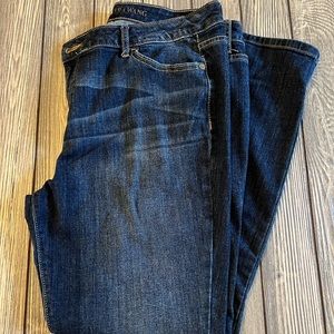 Vera Wang soft and stretchy skinny jeans 10.5 in rise 28in inseam. Size 16p.